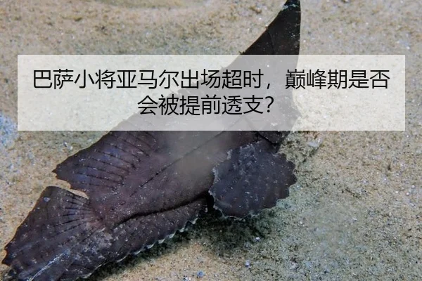 ba-sa-xiao-jiang-ya-ma-er-chu-chang-chao-shi-dian-feng-qi-shi-fou-hui-bei-ti-qian-tou-zhi-2-754.jpg