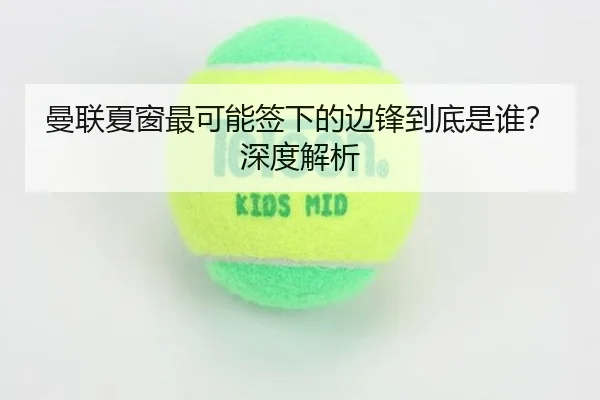 曼联夏窗最可能签下的边锋到底是谁？深度解析